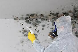 Best Emergency Mold Remediation  in Cooper City, FL